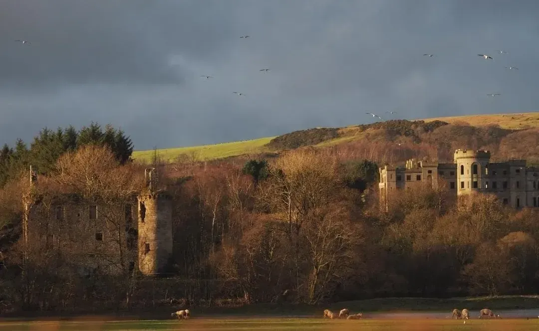 Dailly Village and Parish Community Website